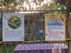-麻涌飞鸭开心农场