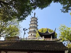 -苏州上方山国家森林公园
