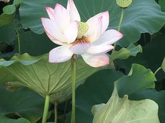 -古田会议纪念馆