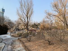 -莲花池公园