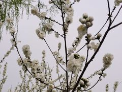 -中国移动(朝阳十里河营业厅)