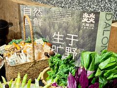 -大龙燚·旷野鲜火锅(广州首店)