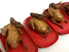 乳鸽-光明刘冰乳鸽店(光明法政北路店)