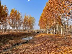 -东郊湿地公园