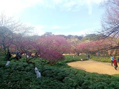 -杭州植物园