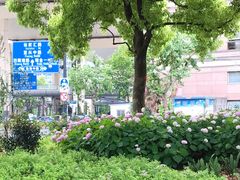 -北万新包子店(淮海店)