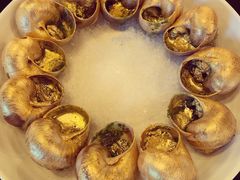 -金蜗牛