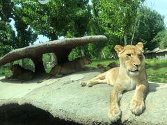 -北京野生动物园