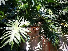 -广州市干部健康管理中心