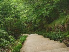 -桃花岭景区