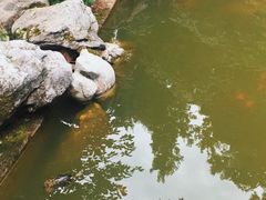 -杭州西湖风景名胜区-三生石