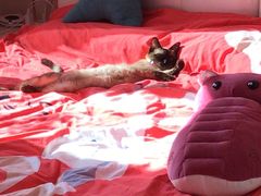 -松浦·观江国际