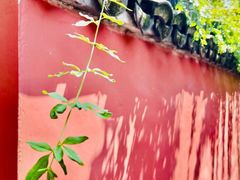 -南北湖风景区