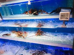 -盒马鲜生(枣园路店)