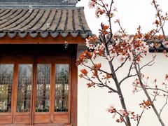 -水西公园