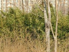 -绿岛公园(滨海新区)