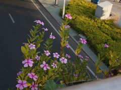 iphone_upload_pic-白城沙滩