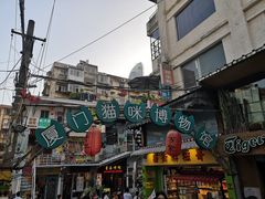 -猫咪博物馆(顶澳仔猫街店)