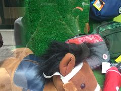 -茶理宜世(东方宝泰店)