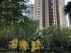 -环球汇·天誉