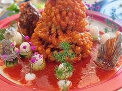 -丁老爷子苏香圆