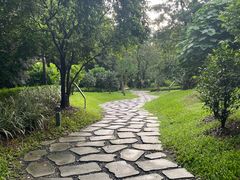 -云溪植物园