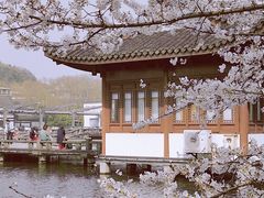 -西湖外事游船(花港观鱼码头)