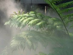 -北京植物园-展览温室