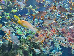 -成都浩海立方海洋公园