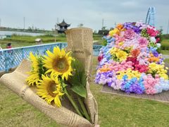 -杭州湾海上花田景区