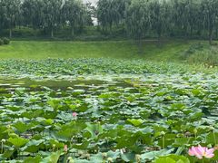 -龙熙温泉高尔夫俱乐部