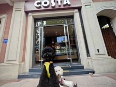 -COSTA COFFEE(上海虹口公园店)