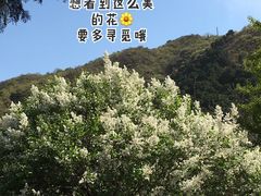 -香山公园
