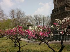 -玲珑塔公园