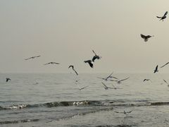 -北戴河碧螺塔海上酒吧公园