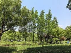 -蠡湖大桥公园