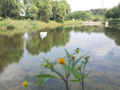 -长春世界雕塑园冰雪艺术天地