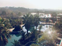 -洪湖悦兮半岛国际温泉度假村