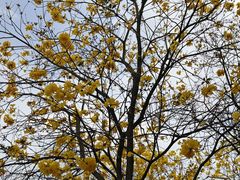 -中国移动南方基地