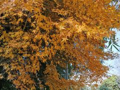 -贵阳市花溪国家城市湿地公园