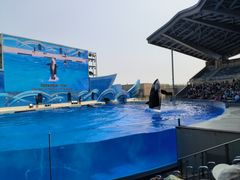 -上海海昌海洋公园