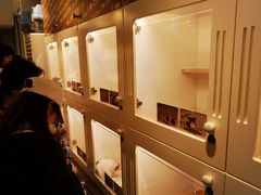 -龙猫仔乐园(惠福东路店)