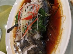 -澳门环岛游湾仔码头