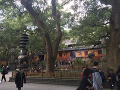 -普陀山风景名胜区-法雨禅寺