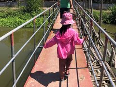 -马陆小张葡萄园农家乐