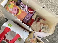 -奈雪的茶(深圳北站店)