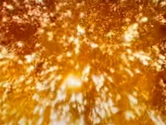 -哈尔滨文化公园