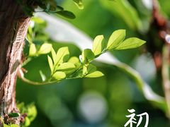 -国家植物园南园