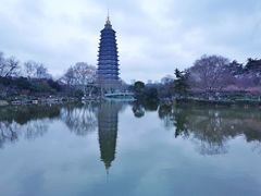 -红梅公园