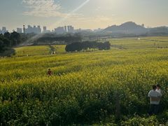 -光明小镇欢乐田园